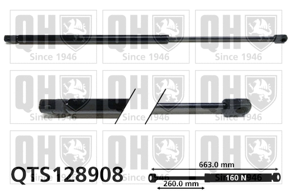 Gas Spring, boot/cargo area (QTS128908)