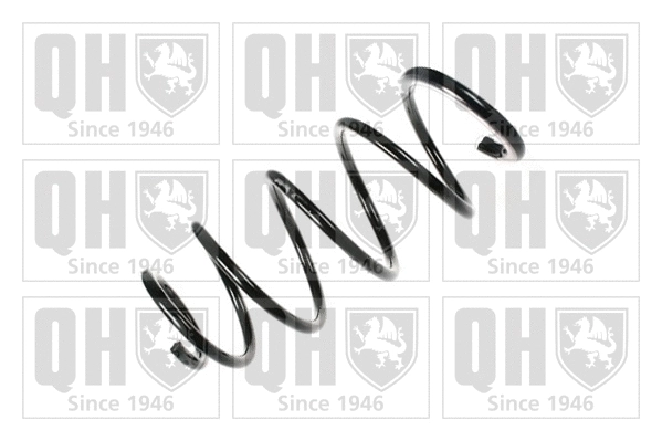 Suspension Spring (QCS5933)