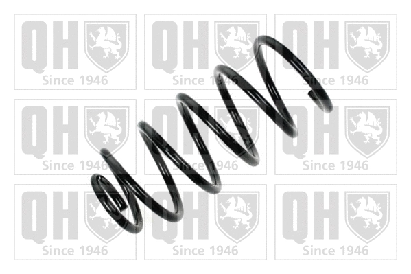 Suspension Spring (QCS5417)