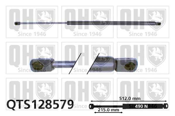 Gas Spring, boot/cargo area (QTS128579)