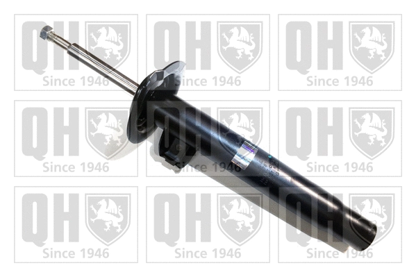 Shock Absorber (QAG178739)