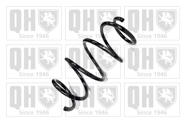 Suspension Spring (QCS7148)