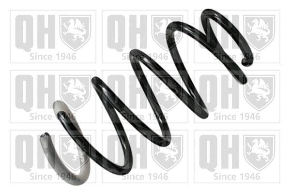 Suspension Spring (QCS6712)