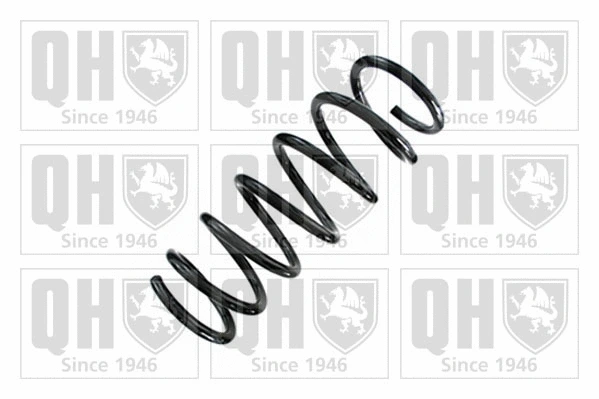 Suspension Spring (QCS8878)