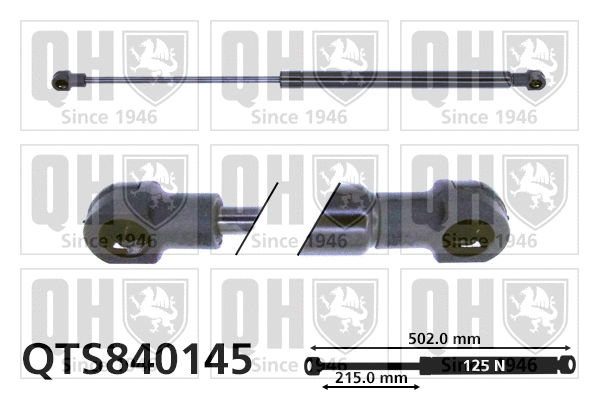 Gas Spring, rear window (QTS840145)