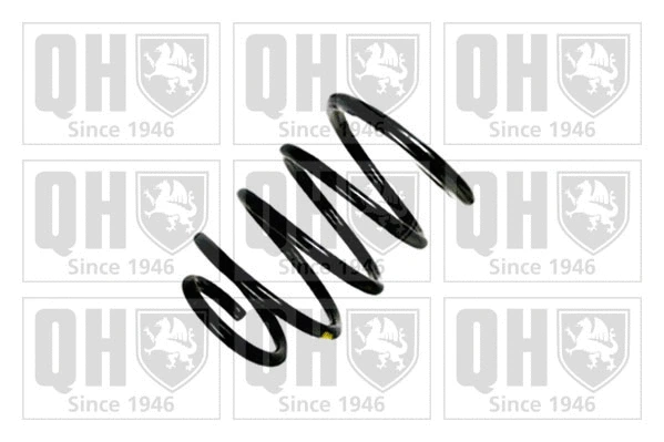 Suspension Spring (QCS8031)