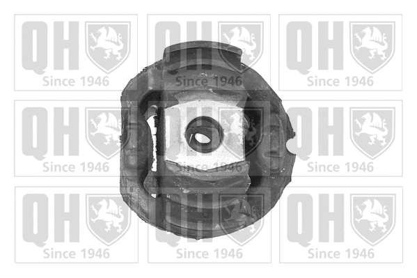 Mounting, control/trailing arm (EMS2494)