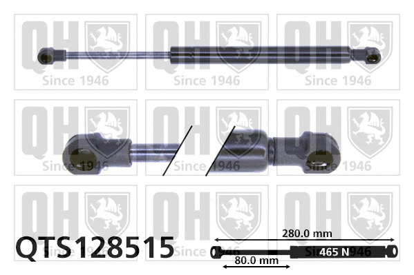 Gas Spring, boot/cargo area (QTS128515)