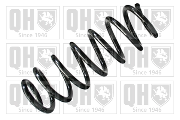 Suspension Spring (QCS8303)