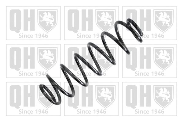 Suspension Spring (QCS6859)