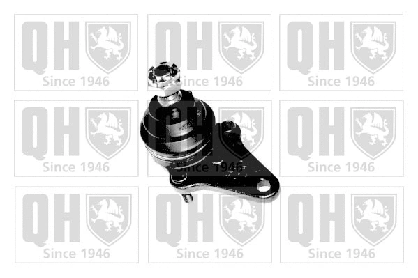 Ball Joint (QSJ961S)