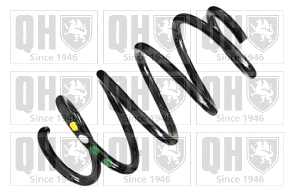 Suspension Spring (QCS6634)