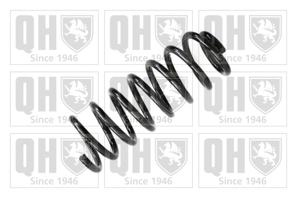 Suspension Spring (QCS7021)