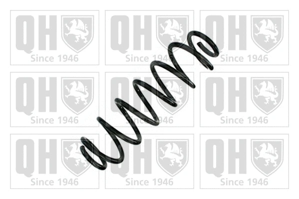 Suspension Spring (QCS9103)