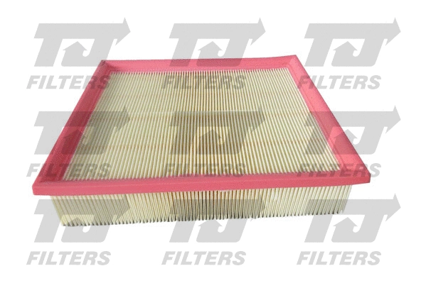 Air Filter (QFA0838)