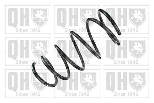Suspension Spring (QCS5763)