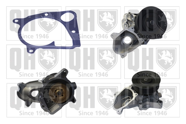 Water Pump, engine cooling (QCP3751)