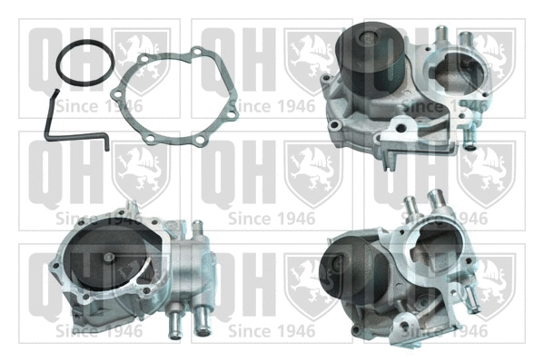 Water Pump, engine cooling (QCP3181)
