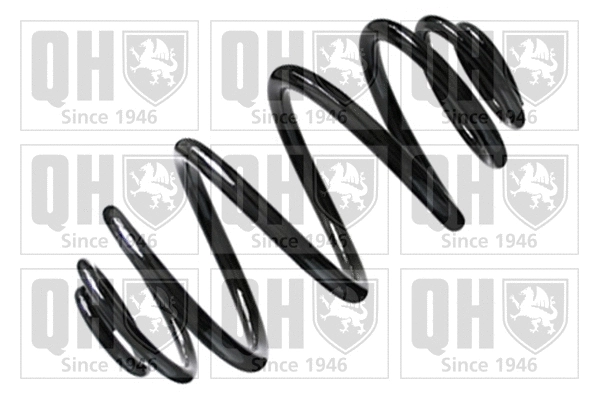Suspension Spring (QCS6243)