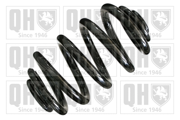 Suspension Spring (QCS8256)