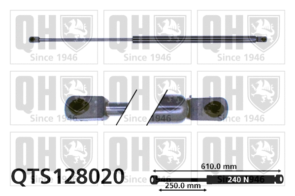 Gas Spring, boot/cargo area (QTS128020)