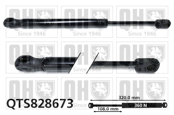 Gas Spring, bonnet (QTS828673)