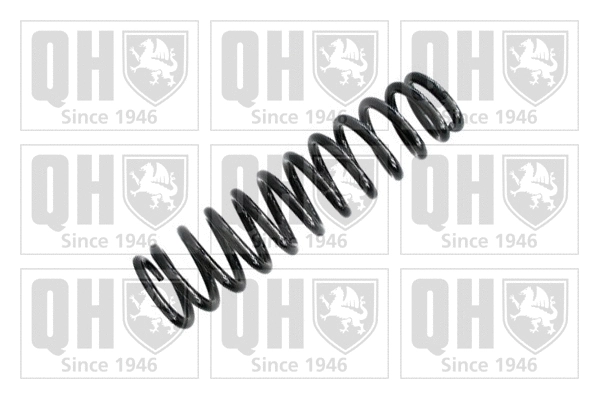 Suspension Spring (QCS6066)