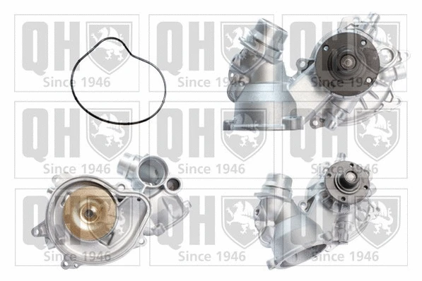 Water Pump, engine cooling (QCP3747)