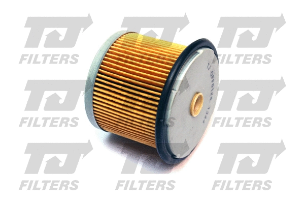 Fuel Filter (QFF0124)