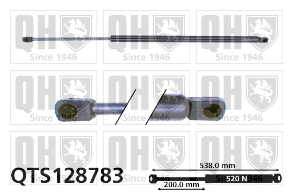Gas Spring, boot/cargo area (QTS128783)