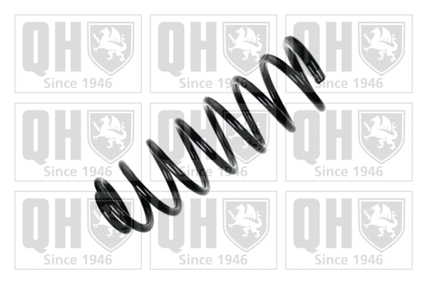 Suspension Spring (QCS6696)
