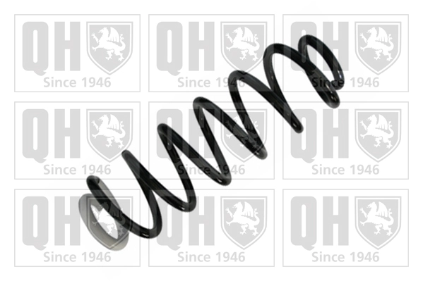 Suspension Spring (QCS8696)