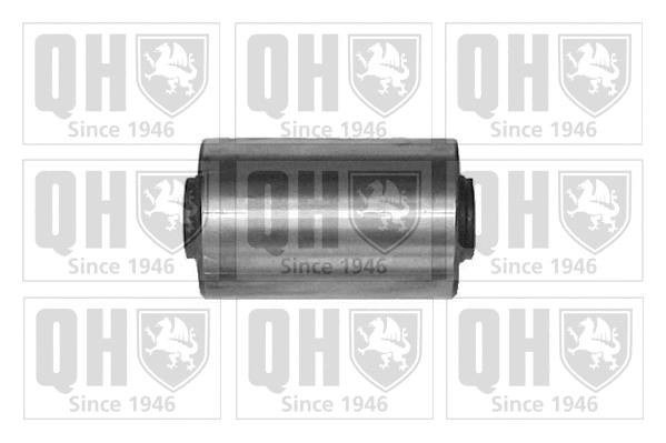 Mounting, control/trailing arm (EMS8176)