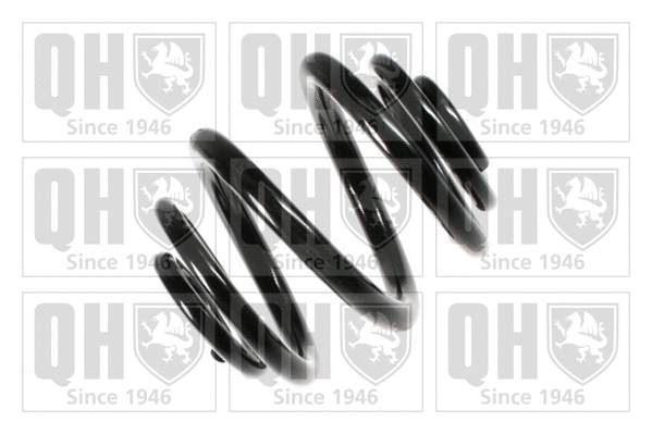 Suspension Spring (QCS6570)