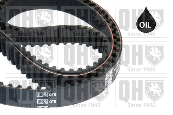 Timing Belt (QTB810)