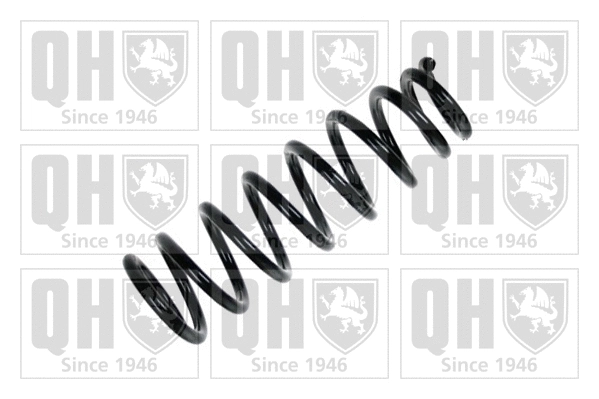 Suspension Spring (QCS7998)