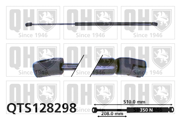 Gas Spring, boot/cargo area (QTS128298)