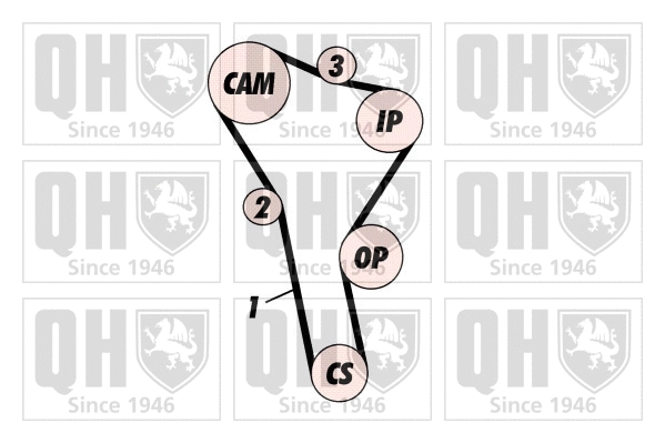 Timing Belt Kit (QBK221)