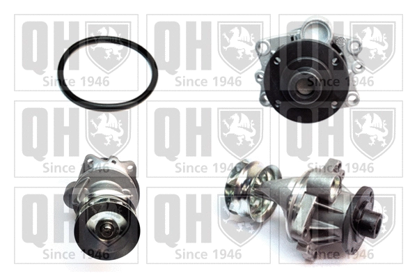 Water Pump, engine cooling (QCP3858)