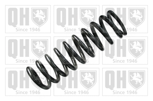 Suspension Spring (QCS8009)