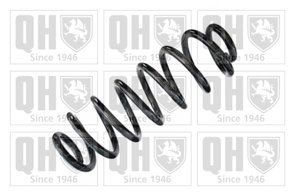 Suspension Spring (QCS5567)