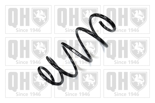 Suspension Spring (QCS6344)