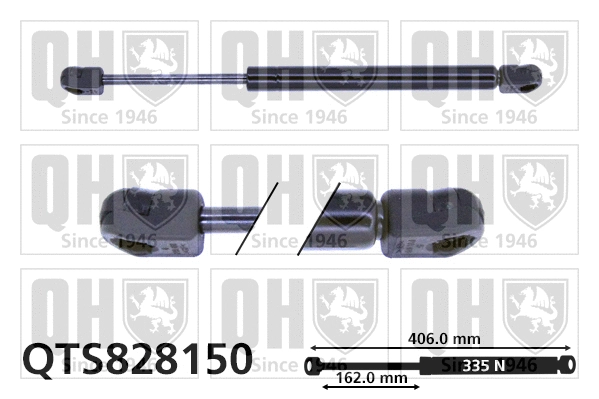 Gas Spring, boot/cargo area (QTS828150)