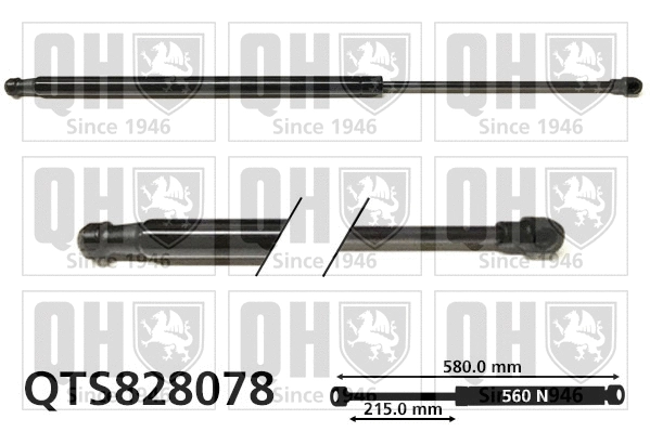 Gas Spring, boot/cargo area (QTS828078)