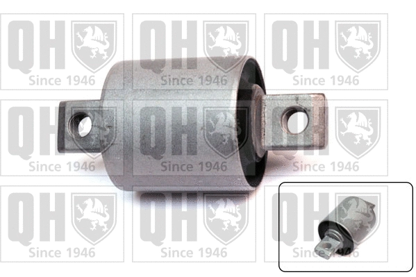 Mounting, control/trailing arm (EMS8589)