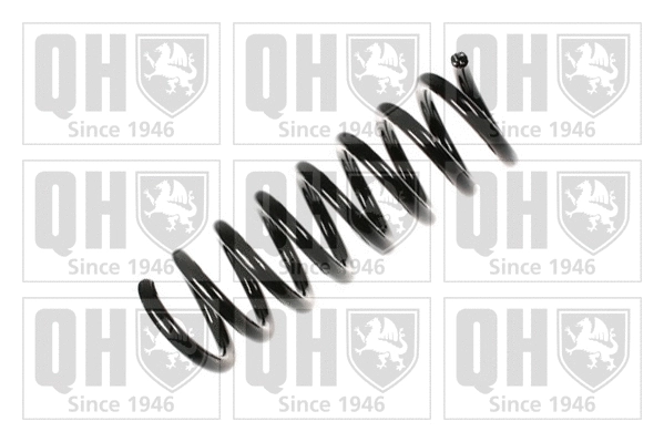 Suspension Spring (QCS6533)