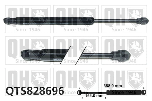 Gas Spring, boot/cargo area (QTS828696)