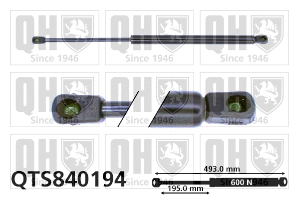 Gas Spring, boot/cargo area (QTS840194)