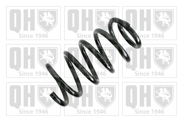 Suspension Spring (QCS7348)