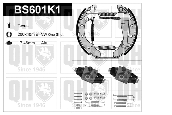 Brake Shoe Set (BS601K1)